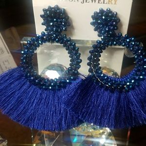 Blue Tassel Large Earrings
